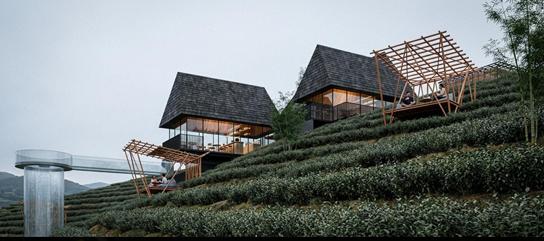 茶愈山境莫干山顶驿